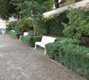Brunnen im Hofgarten