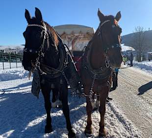 Schlittenfahrt Oberwiesenthal