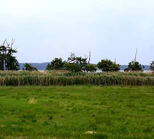 Ausblick Kulturmühle Benz