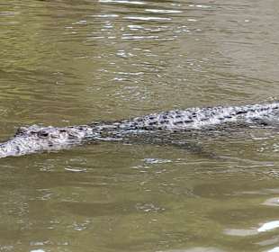 ...es gibt viel zu sehen...