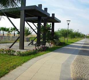 Inspirationen an d.Strandprom.entlang Nov.2010