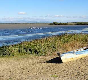 Fischerboote am Ufer des Etang