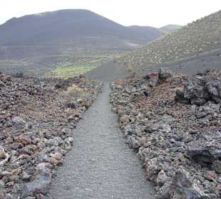 Weg zum Teneguia Vulkan