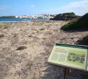 Aktivausflug - Dünen bei Es Grau