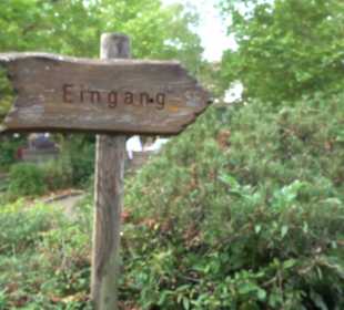 Erlebnispark Tripsdrill