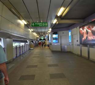 Sky Train