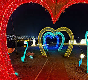 Chinese Lantern World ~ Light Show Tenerife