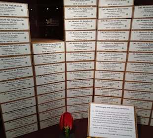 Blick in die Sammlung des Naturkundemuseums