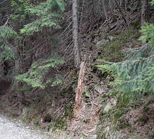 Berg Schneekoppe/Śnieżka