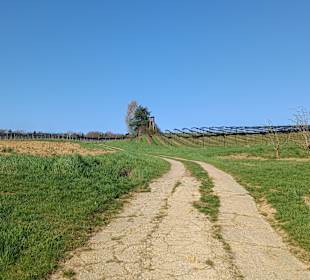 Brodlsulzweg steil hinauf