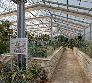 Umgebung + Botanischer Garten Baltschik + Schloss