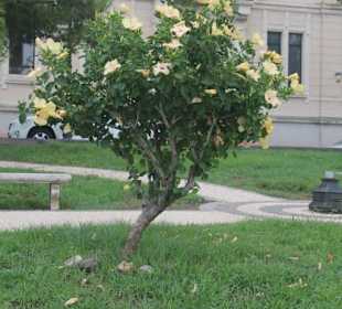 Promenade Reggio di Calabria