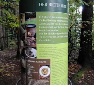 Kastanienerlebnisweg in Völlan