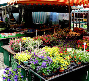 Impressionen vom Wochenmarkt in Hann. Münden