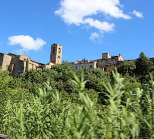 Volterra