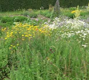 ALB-GOLD Naturgarten