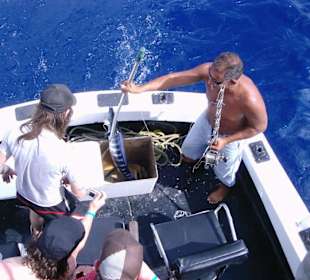 Darf ich vorstellen?