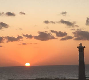 @Michael Assmus 12.01.2020