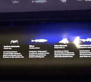 Meeresmuseum Stralsund