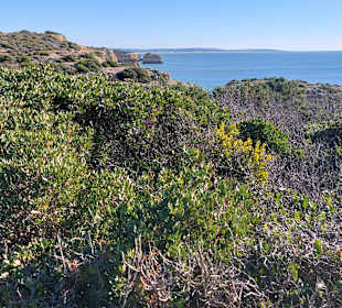 Seven Hanging Valleys Trail 
