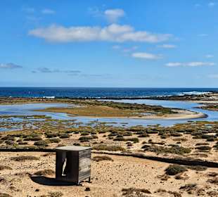 Kleines Feuchtgebiet