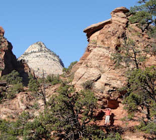 Canyon overlook trail