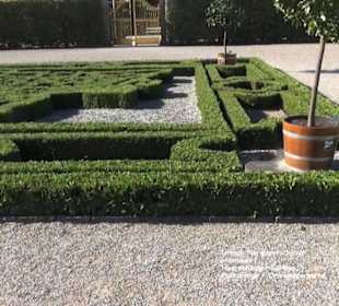 Orangenparterre