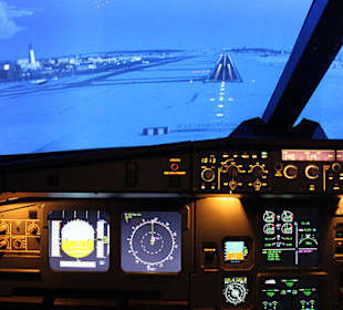Viennaflight Airbus A320