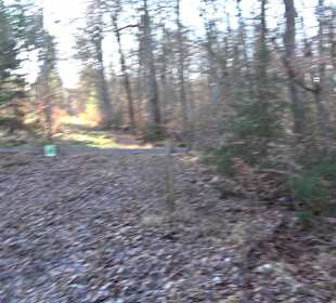 Ochsenweiher Rundweg