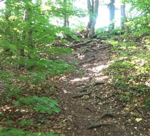 Premiumwanderweg "hochgelegen"