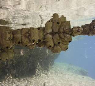 Einfach auf sich wirken lassen....