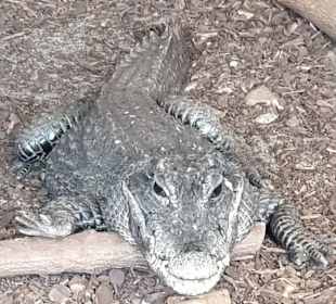 Meeresaquarium am Fichtelberg