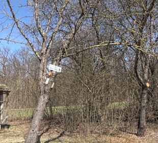 Wildrosenlehrpfad