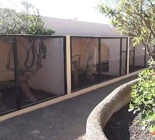 Guinitate Tropical Park