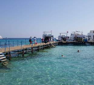 Anlegestelle Dive Point Red Sea