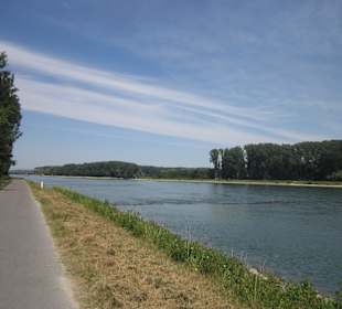 Am Rhein in Germersheim Niedrigwasser