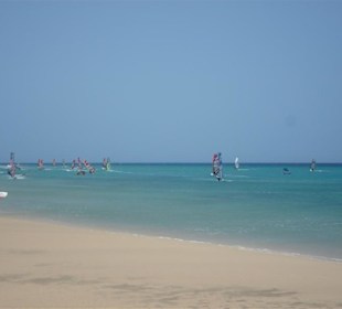 Surferparadies