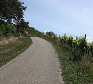 Weinlehrpfad Wurmlingen