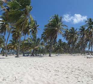 Saone ist wirklich ein Traum wir waren fast allein