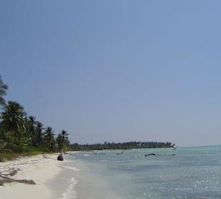 Saona