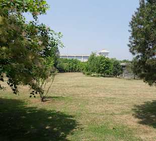 Dojście do terenu wykopalisk