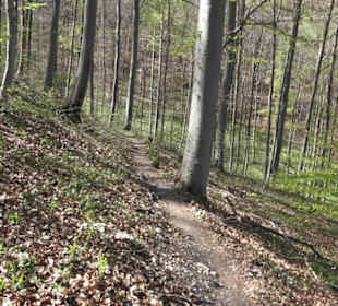 Wanderweg Hochgehkämpft