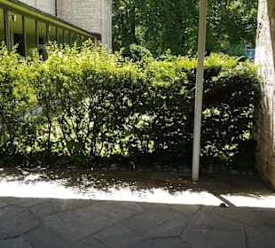 Friedhof Römerschanze