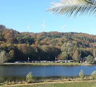 Ausblick auf den Waldsee