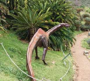 Skulptur in den Palmfarnen von Kirtsenbosch