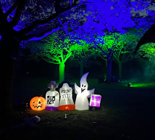 Mondo Verde Halloween