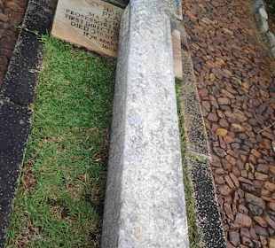 Botanischer Garten Kirstenbosch