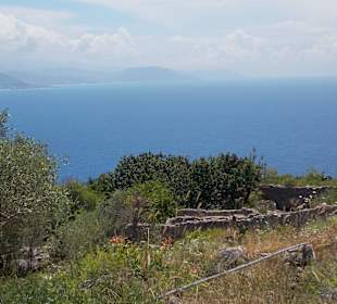 Вид с холма Аланийской крепости