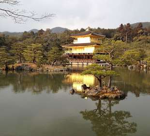 Golden Temple - Kyoto