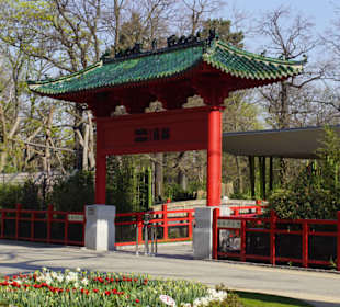 Eingang zum Panda Garden